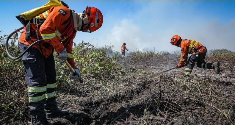 Governo de Mato Grosso publica decreto que estabelece período proibitivo de uso do fogo